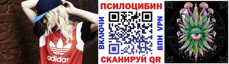 Галлюциногенные грибы Psilocybe  Адыгейск 